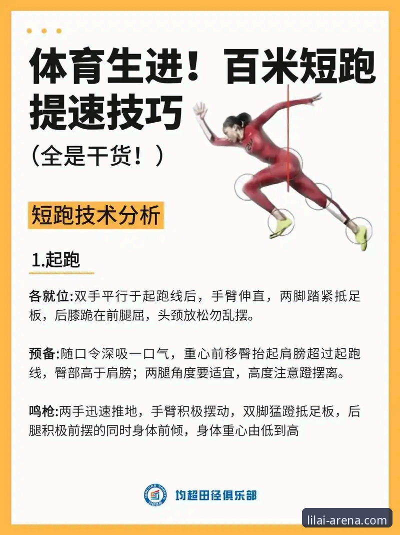 利来体育极速数据全面解析：从新手到高手的实用操作指南
